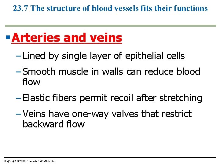 23. 7 The structure of blood vessels fits their functions § Arteries and veins