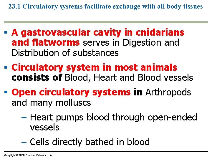 23. 1 Circulatory systems facilitate exchange with all body tissues § A gastrovascular cavity