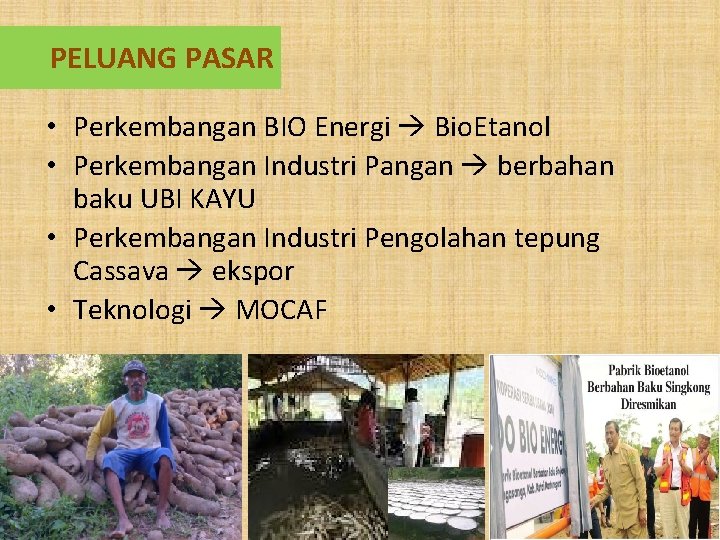 PELUANG PASAR • Perkembangan BIO Energi Bio. Etanol • Perkembangan Industri Pangan berbahan baku