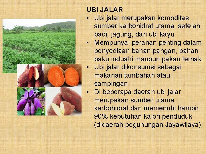 UBI JALAR • Ubi jalar merupakan komoditas sumber karbohidrat utama, setelah padi, jagung, dan