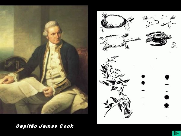 Capitão James Cook 