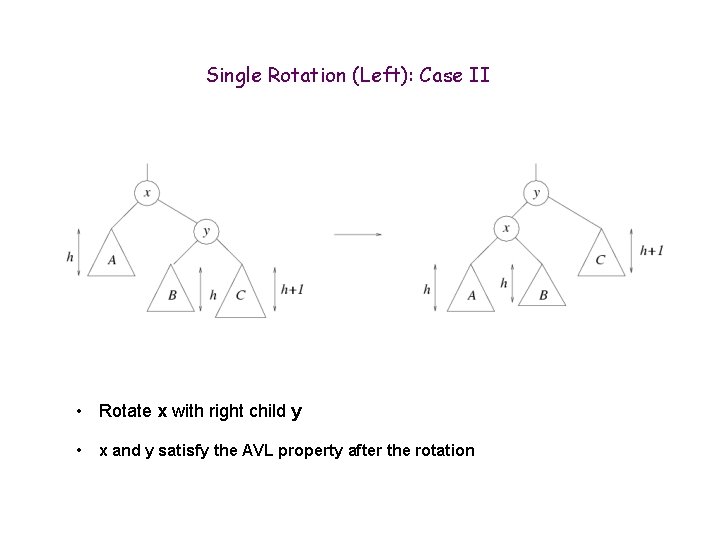 Single Rotation (Left): Case II • Rotate x with right child y • x
