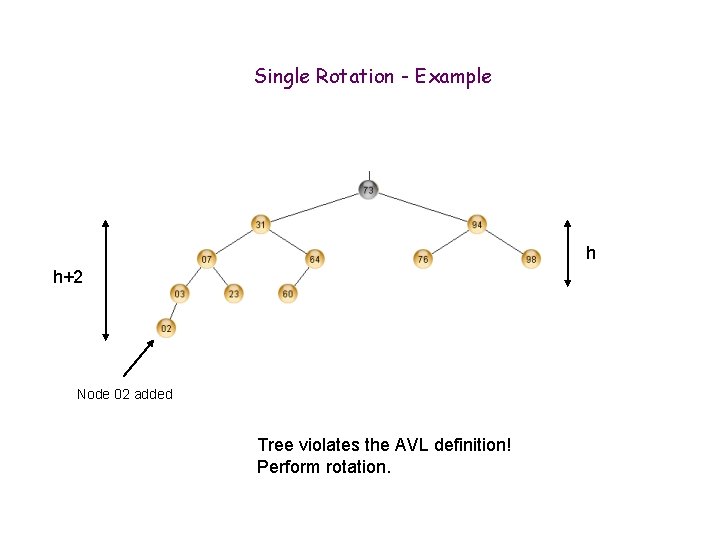 Single Rotation - Example h h+2 Node 02 added Tree violates the AVL definition!