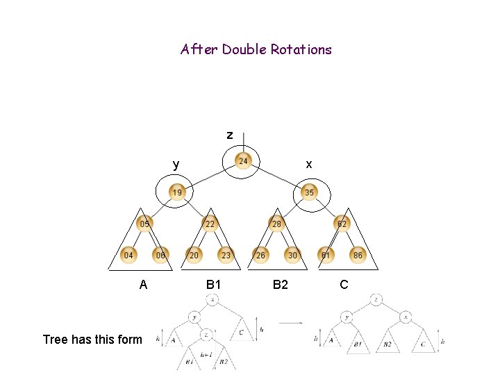 After Double Rotations z y A Tree has this form x B 1 B