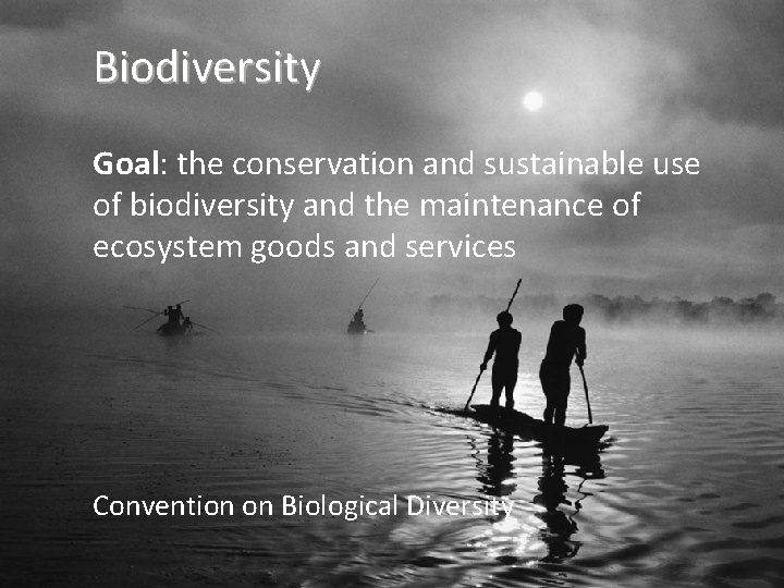 Biodiversity Goal: the conservation and sustainable use of biodiversity and the maintenance of ecosystem