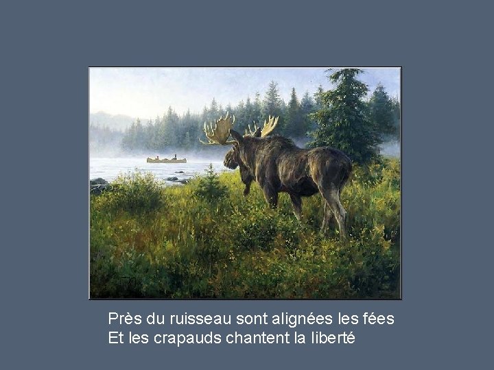 Près du ruisseau sont alignées les fées Et les crapauds chantent la liberté 