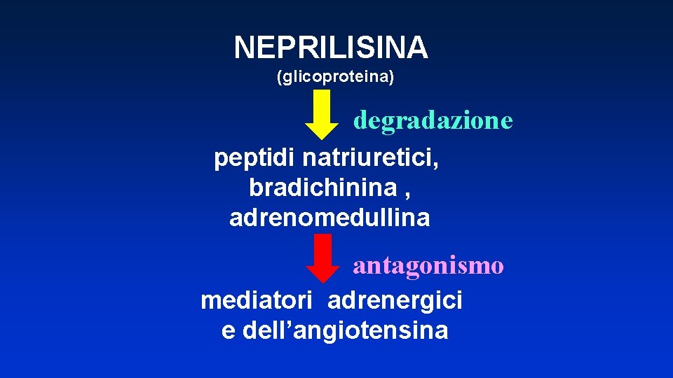 NEPRILISINA (glicoproteina) degradazione peptidi natriuretici, bradichinina , adrenomedullina antagonismo mediatori adrenergici e dell’angiotensina 