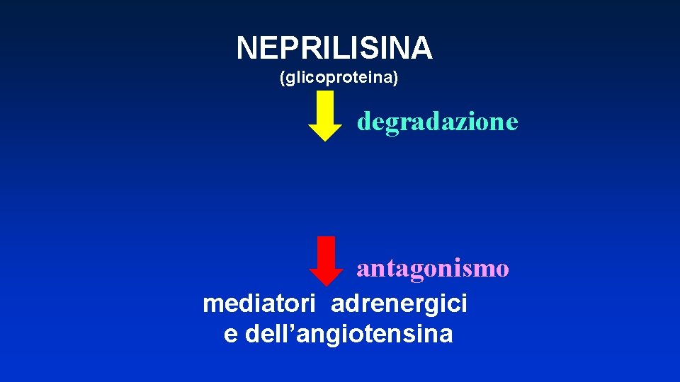 NEPRILISINA (glicoproteina) degradazione antagonismo mediatori adrenergici e dell’angiotensina 