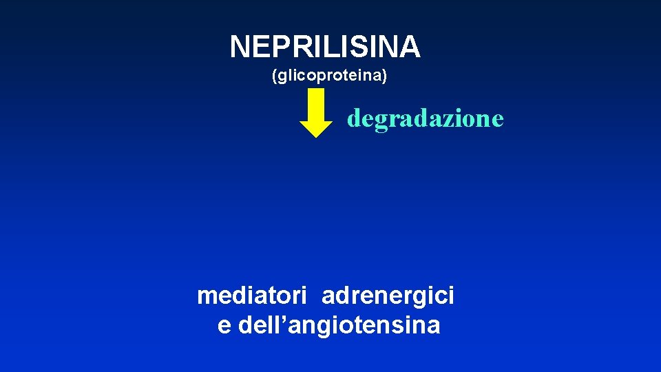 NEPRILISINA (glicoproteina) degradazione mediatori adrenergici e dell’angiotensina 