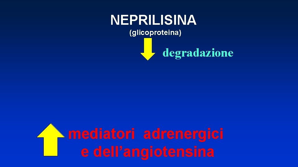 NEPRILISINA (glicoproteina) degradazione mediatori adrenergici e dell’angiotensina 