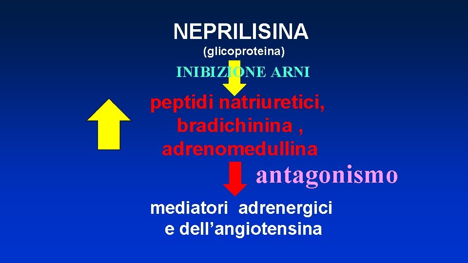 NEPRILISINA (glicoproteina) INIBIZIONE ARNI peptidi natriuretici, bradichinina , adrenomedullina antagonismo mediatori adrenergici e dell’angiotensina