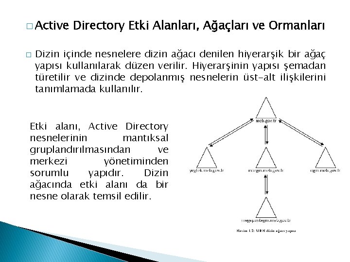 � Active � Directory Etki Alanları, Ağaçları ve Ormanları Dizin içinde nesnelere dizin ağacı