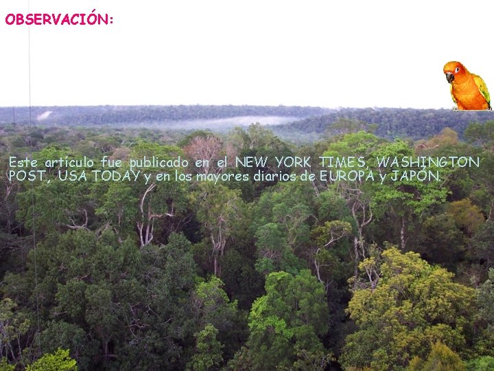 OBSERVACIÓN: Este artículo fue publicado en el NEW YORK TIMES, WASHINGTON POST, USA TODAY