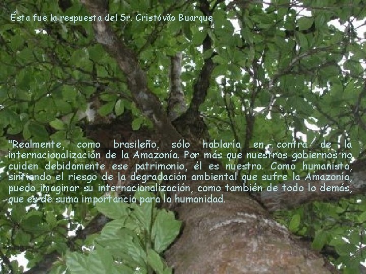 Ésta fue la respuesta del Sr. Cristóvão Buarque "Realmente, como brasileño, sólo hablaría en