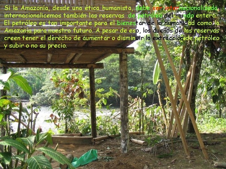 Si la Amazonía, desde una ética humanista, debe ser internacionalizada, internacionalicemos también las reservas