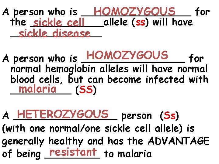 A person who is _________ for HOMOZYGOUS the ______allele (ss) will have sickle cell