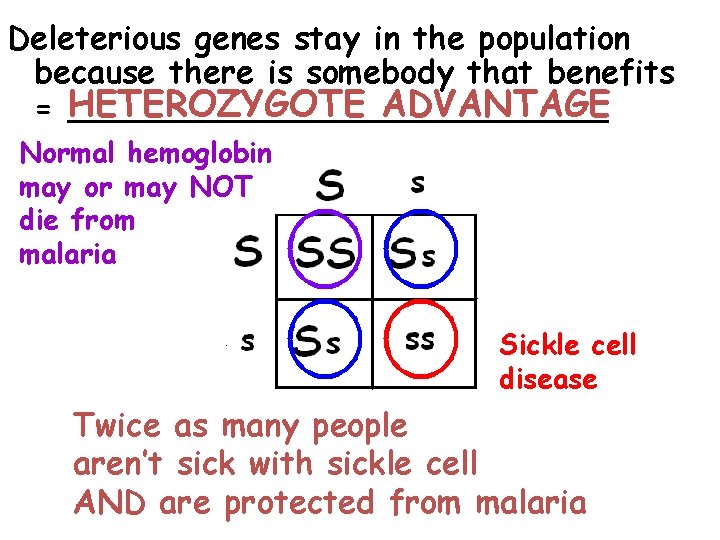 Deleterious genes stay in the population because there is somebody that benefits ADVANTAGE =