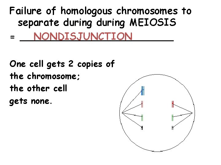 Failure of homologous chromosomes to separate during MEIOSIS NONDISJUNCTION = _____________ One cell gets