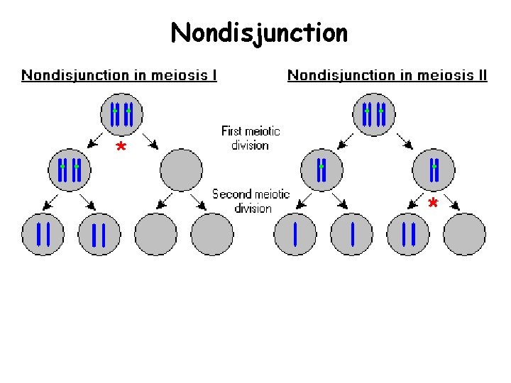 Nondisjunction 