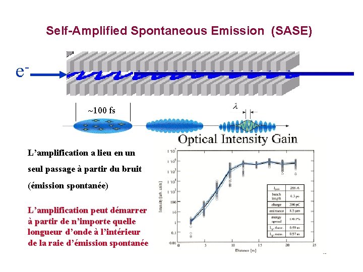Self-Amplified Spontaneous Emission (SASE) e~100 fs L’amplification a lieu en un seul passage à