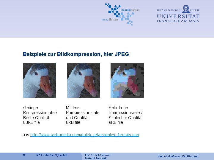 Beispiele zur Bildkompression, hier JPEG Geringe Kompressionrate / Beste Qualität 80 KB file Mittlere