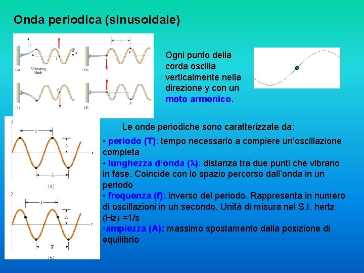 Onda periodica (sinusoidale) Ogni punto della corda oscilla verticalmente nella direzione y con un