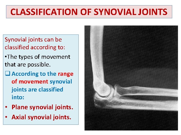 CLASSIFICATION OF SYNOVIAL JOINTS Synovial joints can be classified according to: • The types