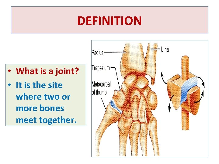 DEFINITION • What is a joint? • It is the site where two or