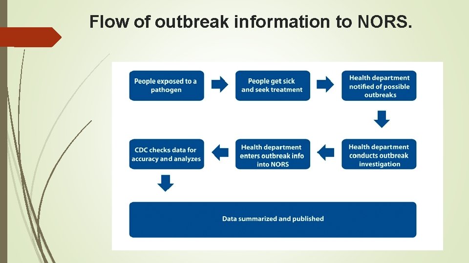 Flow of outbreak information to NORS. 