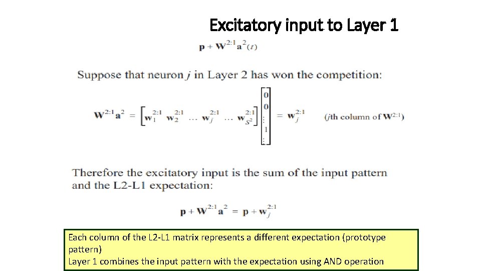 Excitatory input to Layer 1 Each column of the L 2 -L 1 matrix