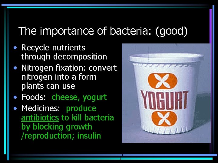 The importance of bacteria: (good) • Recycle nutrients through decomposition • Nitrogen fixation: convert