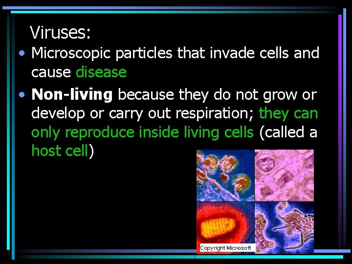 Viruses: • Microscopic particles that invade cells and cause disease • Non-living because they