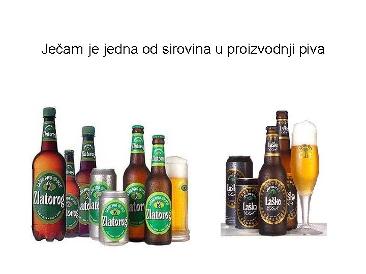 Ječam je jedna od sirovina u proizvodnji piva 