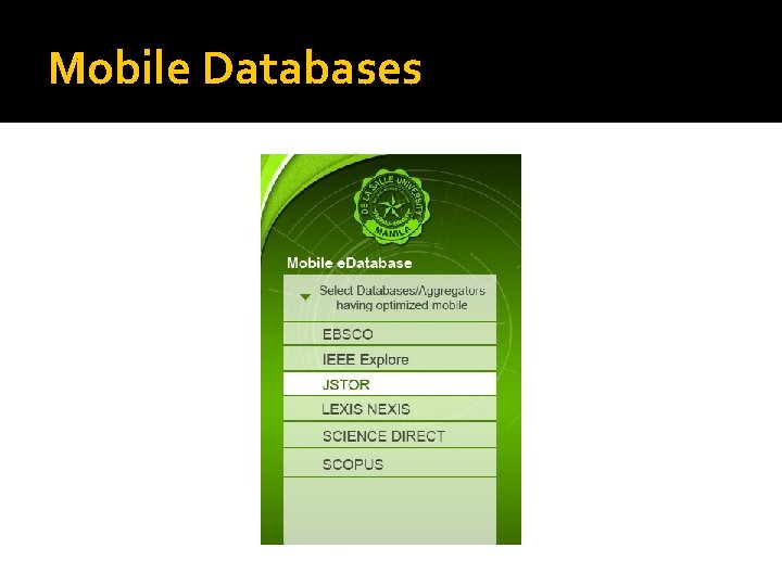 Mobile Databases 