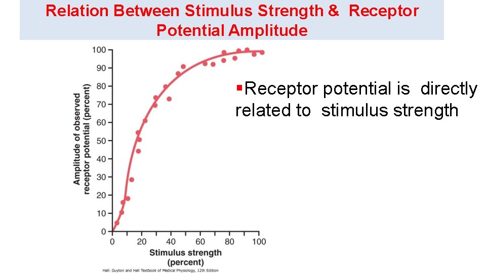 Relation Between Stimulus Strength & Receptor Potential Amplitude Receptor potential is directly related to