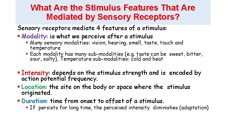 What Are the Stimulus Features That Are Mediated by Sensory Receptors? Sensory receptors mediate