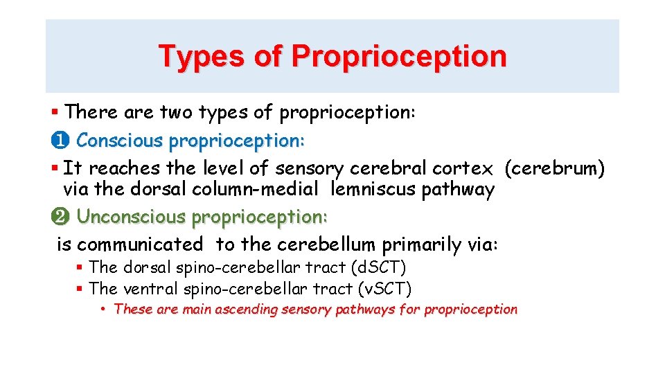 Types of Proprioception There are two types of proprioception: ❶ Conscious proprioception: It reaches