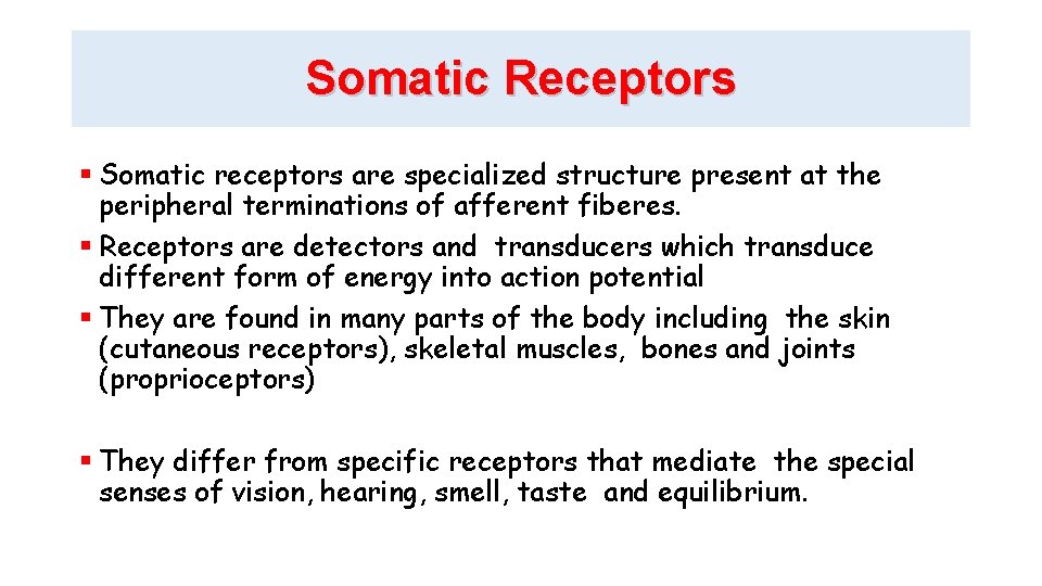 Somatic Receptors Somatic receptors are specialized structure present at the peripheral terminations of afferent