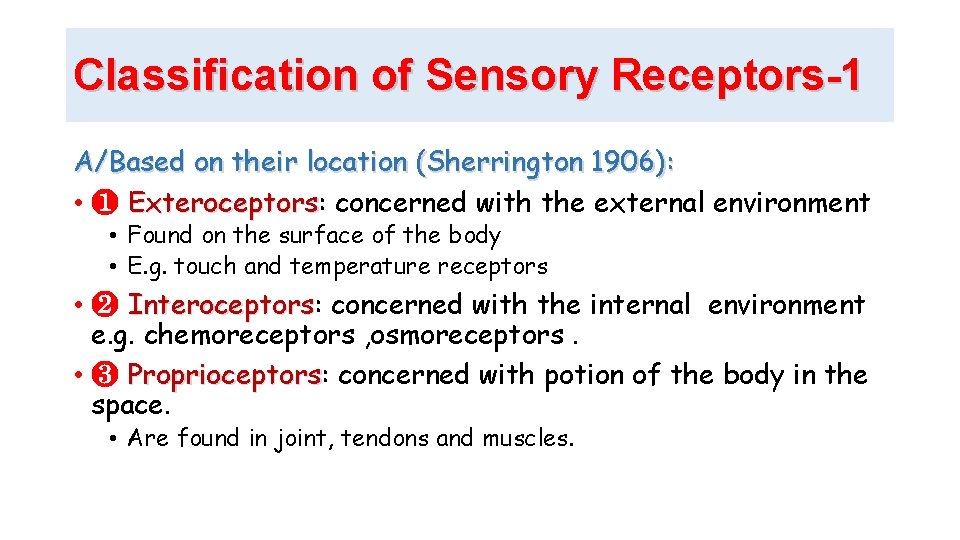 Classification of Sensory Receptors-1 A/Based on their location (Sherrington 1906): • ❶ Exteroceptors: Exteroceptors