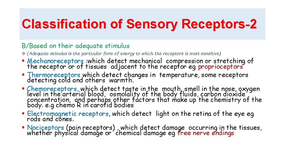 Classification of Sensory Receptors-2 B/Based on their adequate stimulus v (Adequate stimulus is the