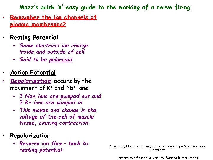 Mazz’s quick ‘n’ easy guide to the working of a nerve firing • Remember