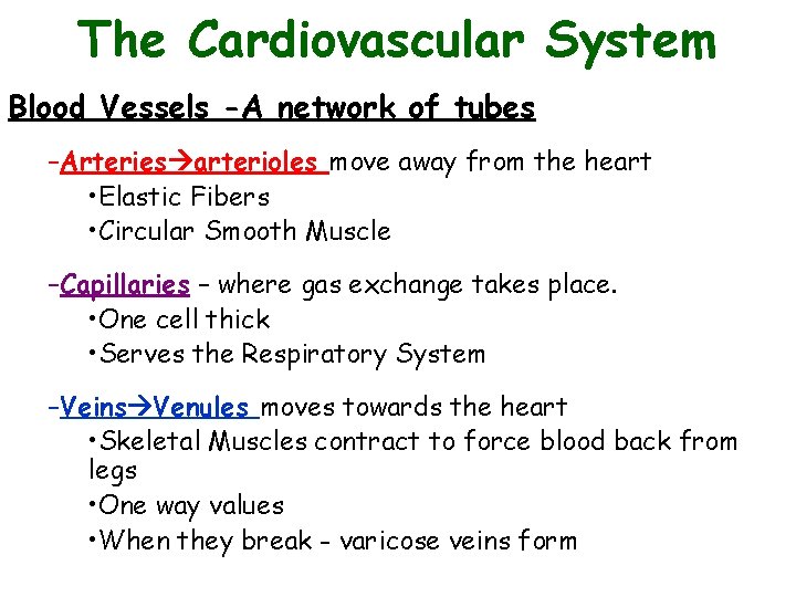 The Cardiovascular System Blood Vessels -A network of tubes –Arteries arterioles move away from