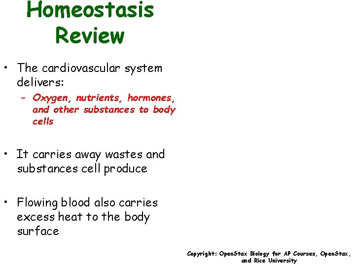 Homeostasis Review • The cardiovascular system delivers: – Oxygen, nutrients, hormones, and other substances