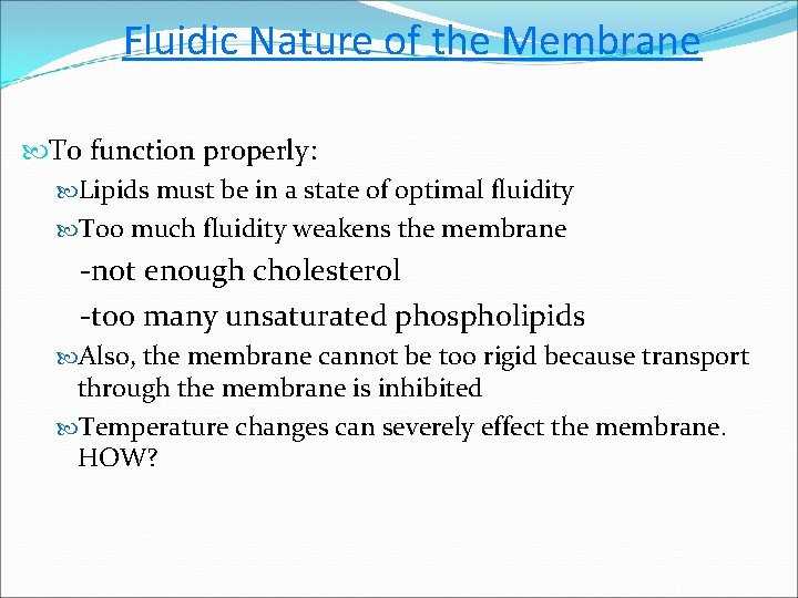 Fluidic Nature of the Membrane To function properly: Lipids must be in a state
