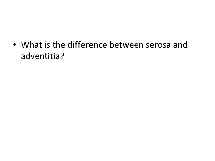  • What is the difference between serosa and adventitia? 