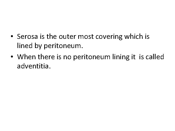  • Serosa is the outer most covering which is lined by peritoneum. •