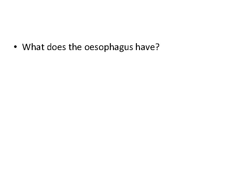  • What does the oesophagus have? 