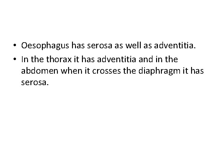  • Oesophagus has serosa as well as adventitia. • In the thorax it