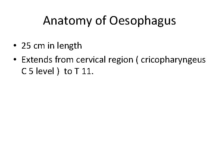 Anatomy of Oesophagus • 25 cm in length • Extends from cervical region (