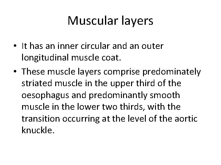 Muscular layers • It has an inner circular and an outer longitudinal muscle coat.